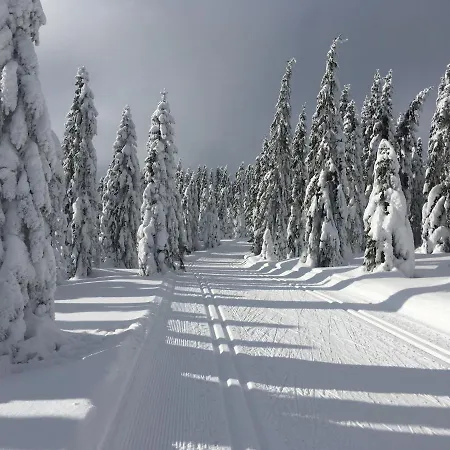 Apartament Stacja Huta Szklarska Poręba