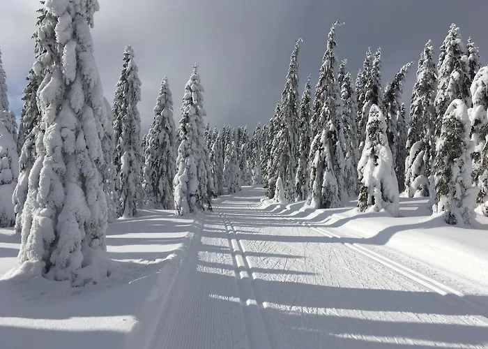Διαμέρισμα Stacja Huta Szklarska Poręba