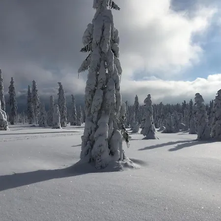 아파트 Stacja Huta *